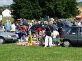 2008-0720-1100_Raynes_Park,_SW20_16,6C